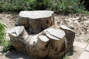 Local tree stump removal and grinding services